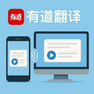 2026年有道翻译词典支持翻译医学影像报告的缩写吗?